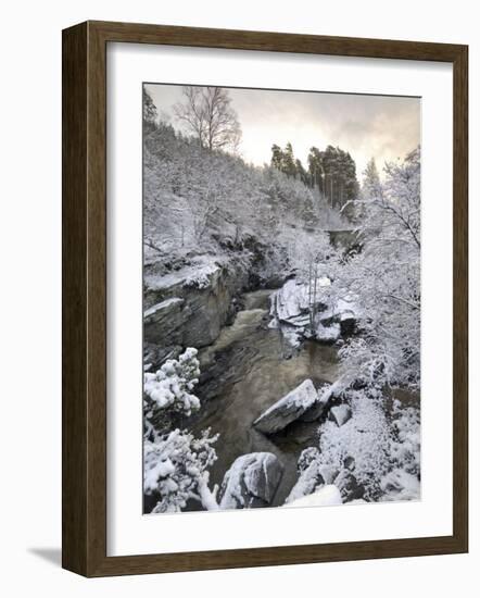 River Tromie in Winter Snow, Drumguish Near Kingussie, Highlands, Scotland, United Kingdom, Europe-Gary Cook-Framed Photographic Print