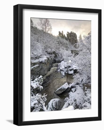 River Tromie in Winter Snow, Drumguish Near Kingussie, Highlands, Scotland, United Kingdom, Europe-Gary Cook-Framed Photographic Print