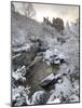 River Tromie in Winter Snow, Drumguish Near Kingussie, Highlands, Scotland, United Kingdom, Europe-Gary Cook-Mounted Photographic Print