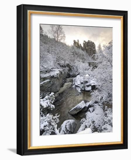 River Tromie in Winter Snow, Drumguish Near Kingussie, Highlands, Scotland, United Kingdom, Europe-Gary Cook-Framed Photographic Print