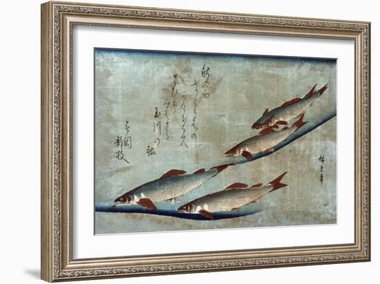 River Trout, Japanese Wood-Cut Print-Lantern Press-Framed Art Print