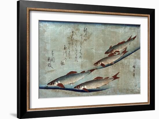 River Trout, Japanese Wood-Cut Print-Lantern Press-Framed Art Print