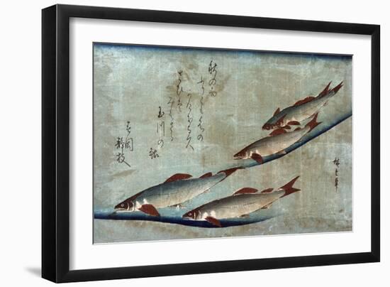 River Trout, Japanese Wood-Cut Print-Lantern Press-Framed Art Print