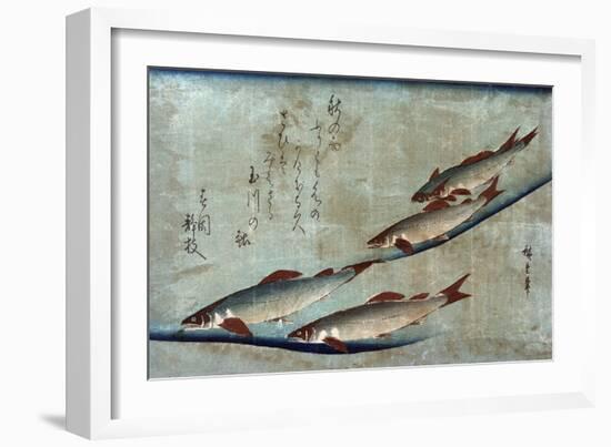 River Trout, Japanese Wood-Cut Print-Lantern Press-Framed Art Print