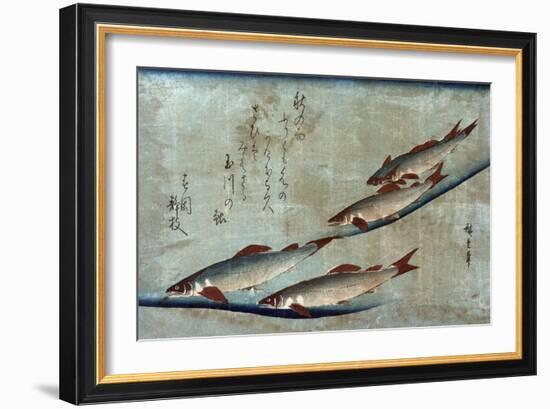 River Trout, Japanese Wood-Cut Print-Lantern Press-Framed Art Print