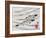 River Trout, Japanese Wood-Cut Print-Lantern Press-Framed Art Print