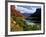 River Valley With View of Fisher Towers and La Sal Mountains, Utah, USA-Bernard Friel-Framed Photographic Print