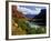 River Valley With View of Fisher Towers and La Sal Mountains, Utah, USA-Bernard Friel-Framed Photographic Print