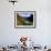 River Valley With View of Fisher Towers and La Sal Mountains, Utah, USA-Bernard Friel-Framed Photographic Print displayed on a wall