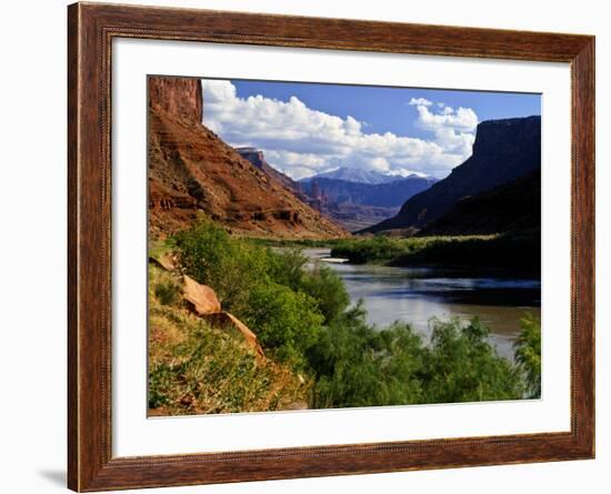 River Valley With View of Fisher Towers and La Sal Mountains, Utah, USA-Bernard Friel-Framed Photographic Print