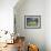 River Verdon, Gorge Du Verdon, Provence, France, Europe-David Wogan-Framed Photographic Print displayed on a wall