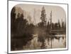River View - Down the Valley - Yosemite, California, 1861-Carleton Watkins-Mounted Art Print
