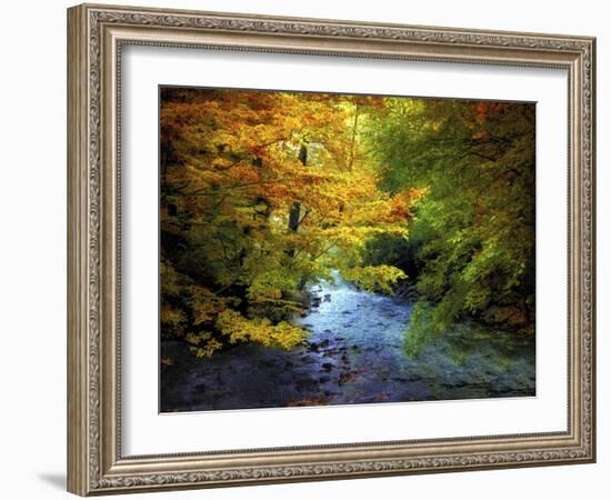 River View-Jessica Jenney-Framed Giclee Print