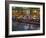 River Walk Restaurants and Cafes of Casa Rio, San Antonio, Texas-Bill Bachmann-Framed Photographic Print