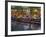 River Walk Restaurants and Cafes of Casa Rio, San Antonio, Texas-Bill Bachmann-Framed Photographic Print