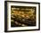 River Walk Restaurants and Cafes of Casa Rio, San Antonio, Texas-Bill Bachmann-Framed Photographic Print