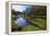 River Weed and Marsh Marigolds (Caltha Palustris) of Lathkill Dale in Spring-Eleanor Scriven-Framed Premier Image Canvas