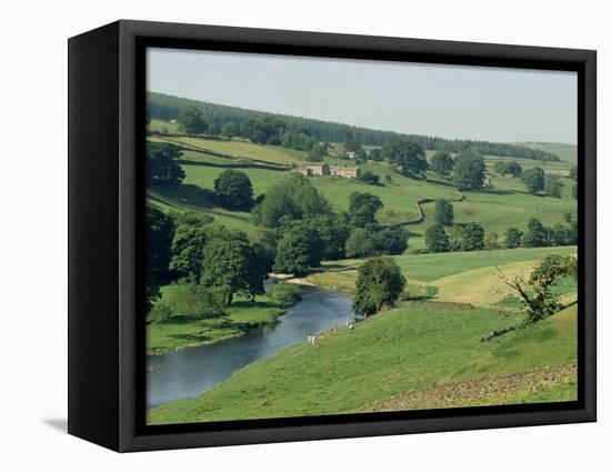 River Wharfe, Barden Bridge Near Bolton, Yorkshire, England, United Kingdom-Adam Woolfitt-Framed Premier Image Canvas