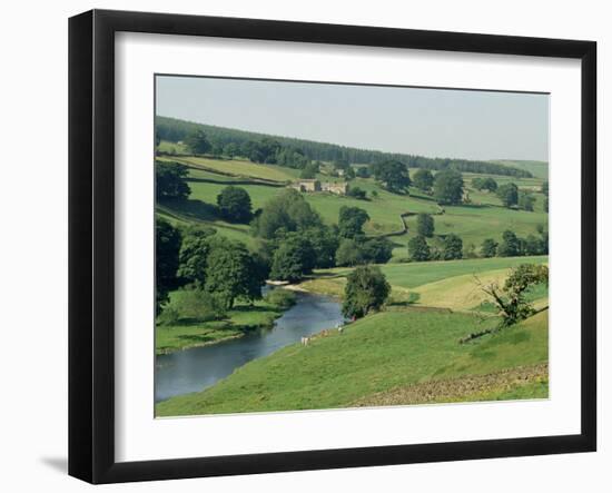 River Wharfe, Barden Bridge Near Bolton, Yorkshire, England, United Kingdom-Adam Woolfitt-Framed Photographic Print