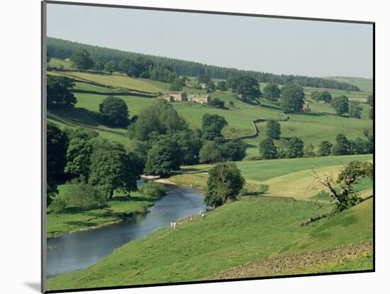 River Wharfe, Barden Bridge Near Bolton, Yorkshire, England, United Kingdom-Adam Woolfitt-Mounted Photographic Print