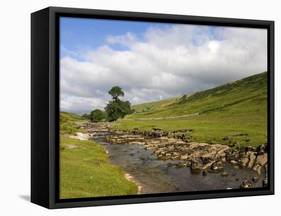 River Wharfe, Upper Wharfedale, Yorkshire Dales National Park, North Yorkshire, England, UK-White Gary-Framed Premier Image Canvas