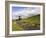 River Wharfe, Upper Wharfedale, Yorkshire Dales National Park, North Yorkshire, England, UK-White Gary-Framed Photographic Print