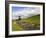 River Wharfe, Upper Wharfedale, Yorkshire Dales National Park, North Yorkshire, England, UK-White Gary-Framed Photographic Print