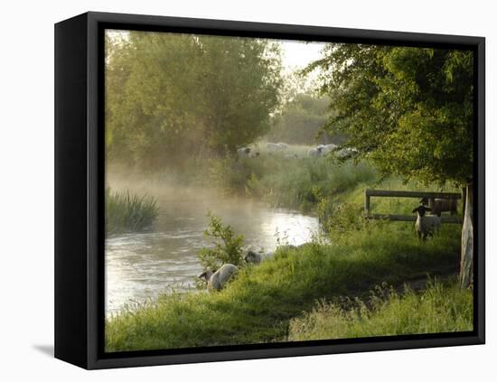 River Windrush Near Burford, Oxfordshire, the Cotswolds, England, United Kingdom, Europe-Rob Cousins-Framed Premier Image Canvas