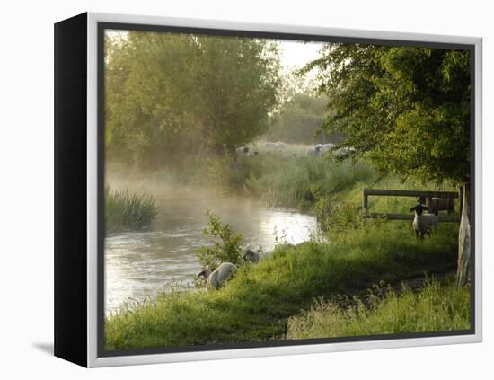 River Windrush Near Burford, Oxfordshire, the Cotswolds, England, United Kingdom, Europe-Rob Cousins-Framed Premier Image Canvas