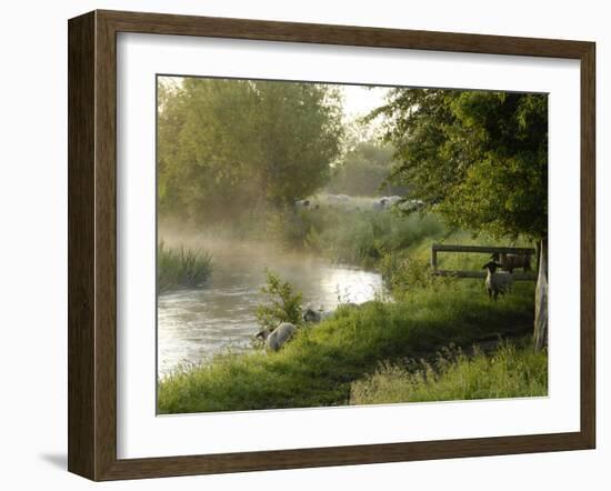 River Windrush Near Burford, Oxfordshire, the Cotswolds, England, United Kingdom, Europe-Rob Cousins-Framed Photographic Print