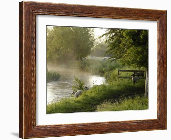 River Windrush Near Burford, Oxfordshire, the Cotswolds, England, United Kingdom, Europe-Rob Cousins-Framed Photographic Print