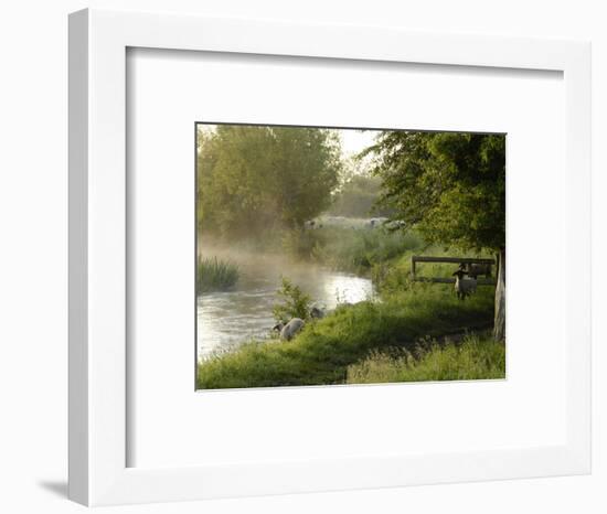 River Windrush Near Burford, Oxfordshire, the Cotswolds, England, United Kingdom, Europe-Rob Cousins-Framed Photographic Print