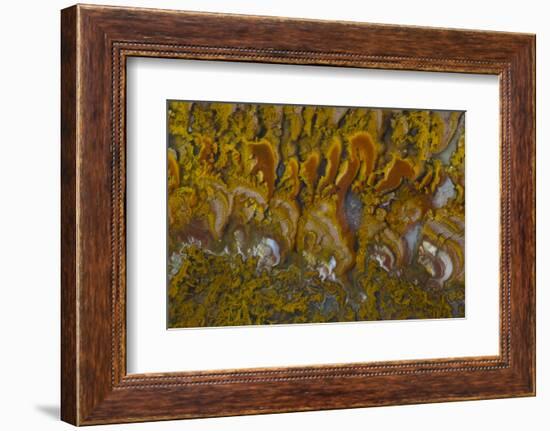 Rivera Plume Agate, Mexico-Darrell Gulin-Framed Photographic Print