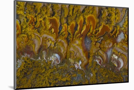 Rivera Plume Agate, Mexico-Darrell Gulin-Mounted Photographic Print