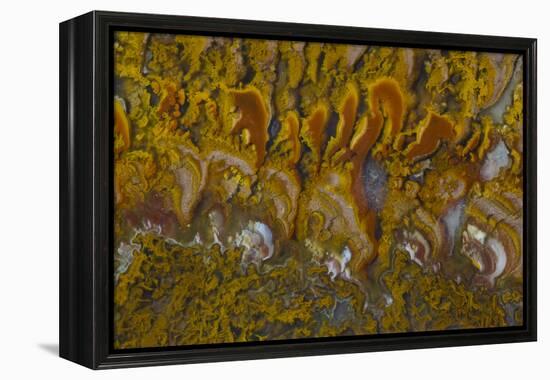 Rivera Plume Agate, Mexico-Darrell Gulin-Framed Premier Image Canvas