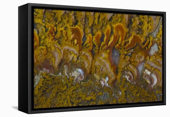 Rivera Plume Agate, Mexico-Darrell Gulin-Framed Premier Image Canvas