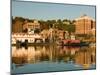 Riverboats, Mississippi River, and Historic Julien Hotel, Dubuque, Iowa-Walter Bibikow-Mounted Photographic Print