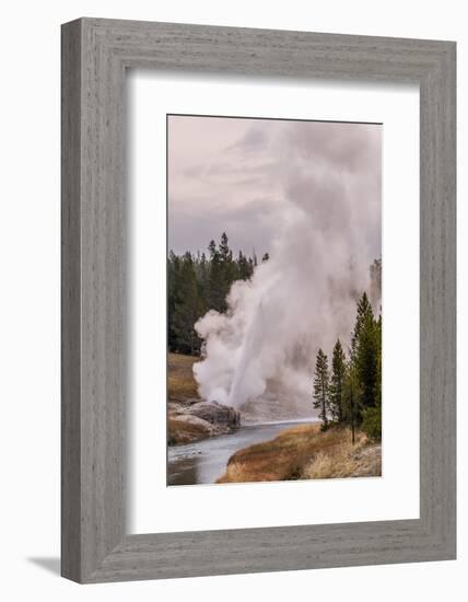 Riverside Geyser, Upper Geyser Basin Yellowstone National Park, Wyoming, United States of America-Michael DeFreitas-Framed Photographic Print