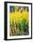 Riverside Late Summer-Christopher Ryland-Framed Premium Giclee Print