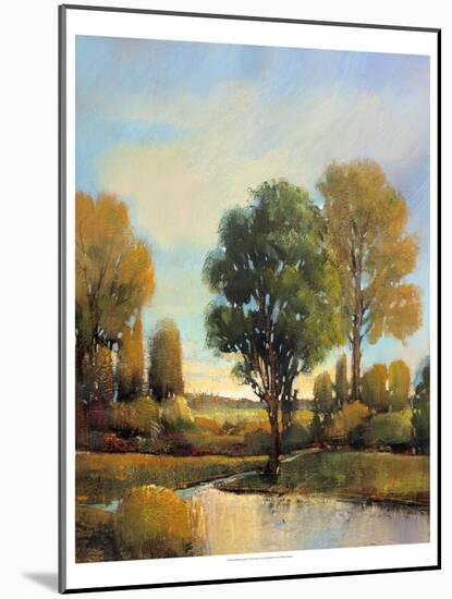 Riverside Light I-Tim O'toole-Mounted Art Print