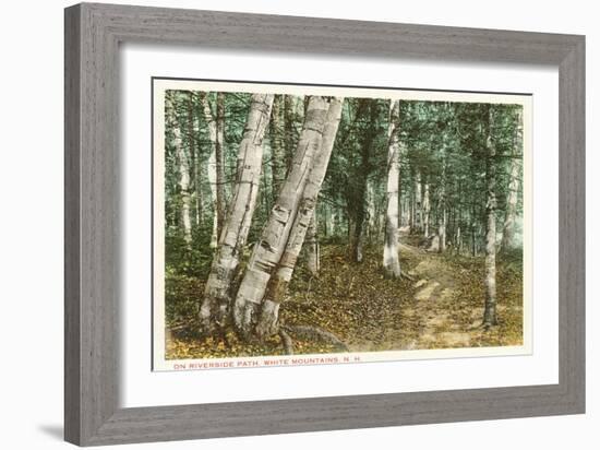 Riverside Path, White Mountains, New Hampshire-null-Framed Art Print