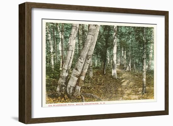 Riverside Path, White Mountains, New Hampshire-null-Framed Art Print