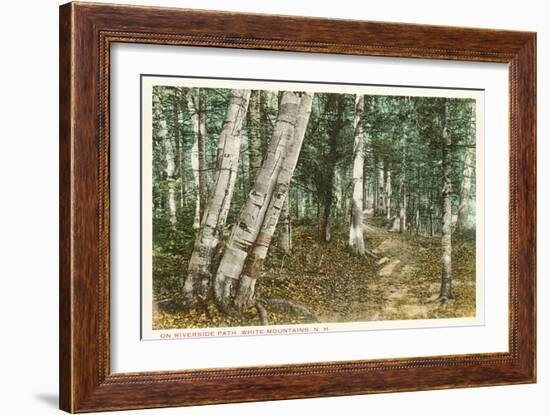 Riverside Path, White Mountains, New Hampshire-null-Framed Art Print