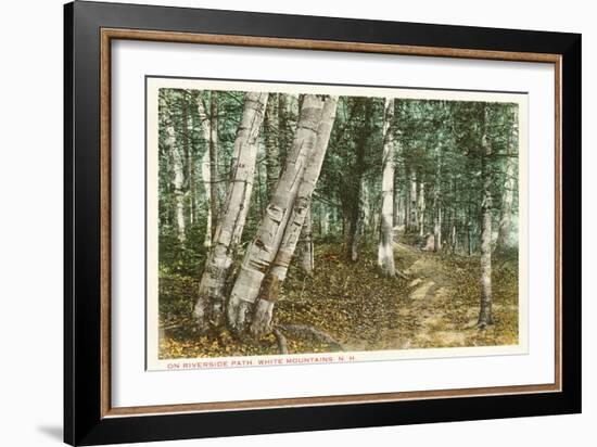 Riverside Path, White Mountains, New Hampshire-null-Framed Art Print