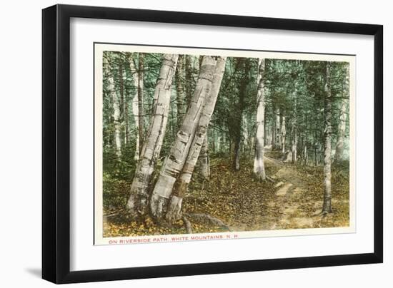 Riverside Path, White Mountains, New Hampshire-null-Framed Art Print