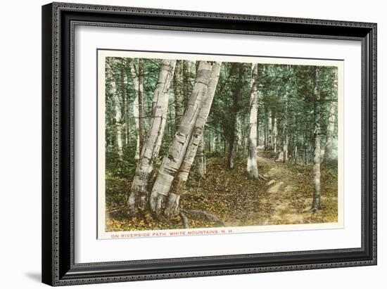 Riverside Path, White Mountains, New Hampshire-null-Framed Art Print