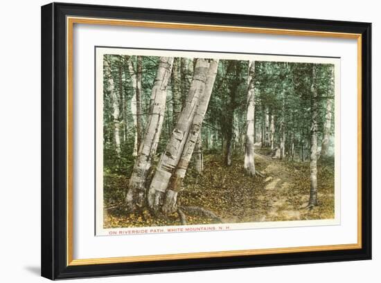 Riverside Path, White Mountains, New Hampshire-null-Framed Art Print