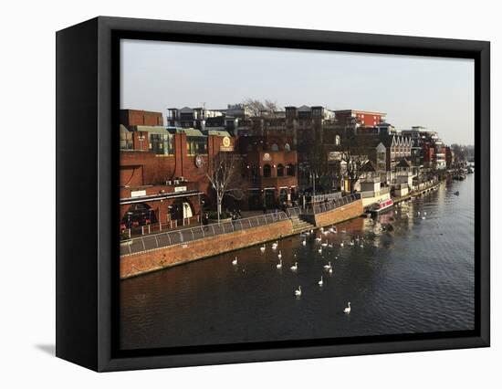 Riverside Pubs and Bars During Late Afternoon by the River Thames at Kingston-Upon-Thames, a Suburb-Stuart Forster-Framed Premier Image Canvas