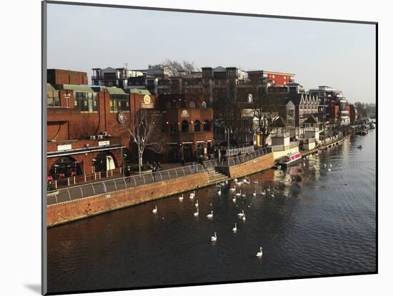 Riverside Pubs and Bars During Late Afternoon by the River Thames at Kingston-Upon-Thames, a Suburb-Stuart Forster-Mounted Photographic Print