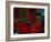 Riverside Reflections-Doug Chinnery-Framed Photographic Print